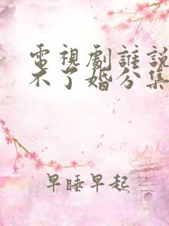 电视剧谁说我结不了婚分集剧情介绍
