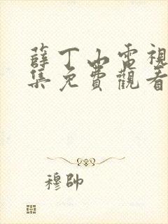 薛丁山电视剧全集免费观看