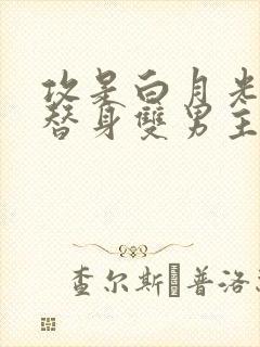 攻是白月光受是替身双男主