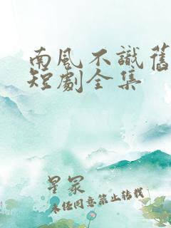 南风不识旧时人短剧全集
