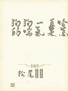 狗狗一直哈哈哈的喘气是怎么回事