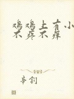 鸡鸡上有小疙瘩不疼不痒