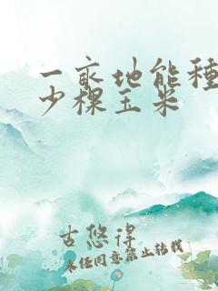 一亩地能种植多少棵玉米 一亩地能种植多少棵玉米