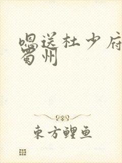 嗯送杜少府之任蜀州