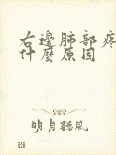 右边肺部疼痛是什么原因