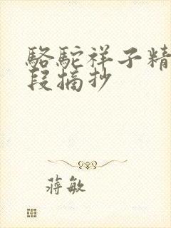骆驼祥子精美文段摘抄
