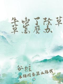 牛吃了除草剂的草怎么办
