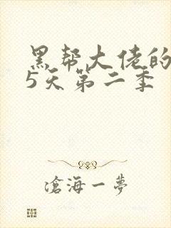黑帮大佬的365天第二季