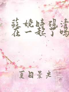 苏娆时砚清最后在一起了吗