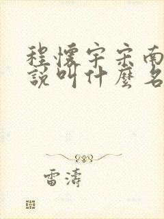 程怀宇宋南初小说叫什么名字