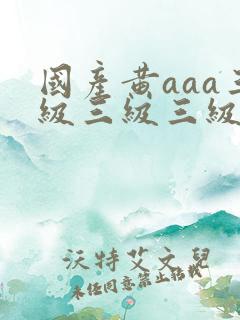 国产黄aaa三级三级三级看三级