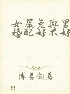 女属兔与男属马婚配好不好