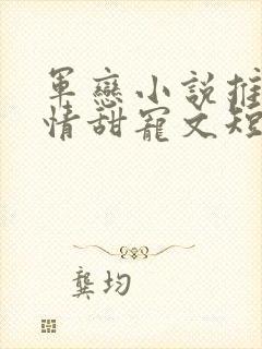 军恋小说推荐言情甜宠文短篇小说