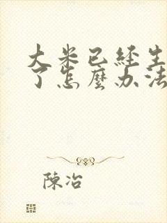 大米已经生虫子了怎么办法可以解决