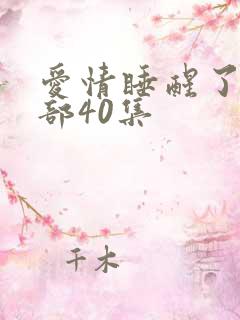 爱情睡醒了第二部40集