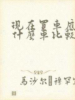 现在买车应该买什么车比较好三四十万左右