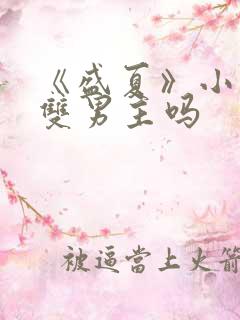 《盛夏》小说是双男主吗