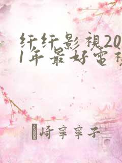 纤纤影视2021年最好电视剧功