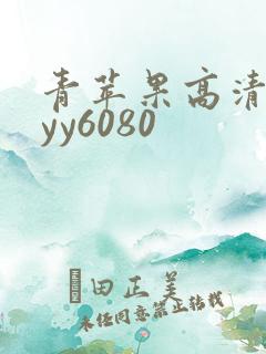 青苹果高清影院yy6080 青苹果高清影院yy6080