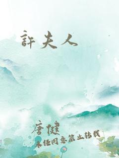 许夫人