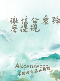 微信公众号钱怎么提现 微信公众号钱怎么提现