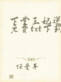 下堂王妃逆袭记免费txt下载