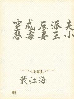 穿成反派夫郎的恶毒妻主小说