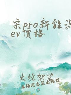 宋pro新能源ev价格