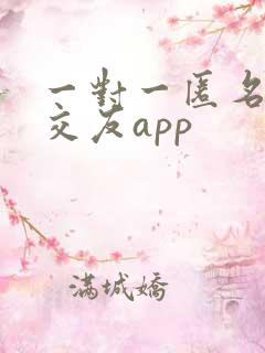 一对一匿名聊天交友app