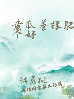 黄瓜养根肥料哪个好