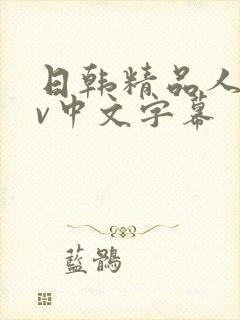 日韩精品人妻av中文字幕