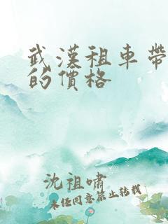 武汉租车带司机的价格