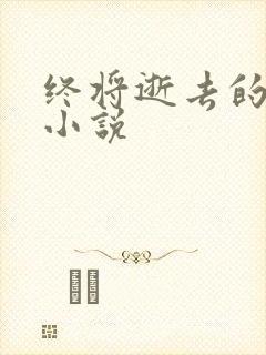 终将逝去的青春小说