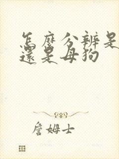 怎么分辨是公狗还是母狗 怎么分辨是公狗还是母狗