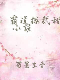 霸道总裁甜宠妻 小说 霸道总裁甜宠妻 小说