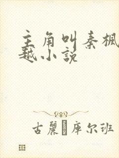 主角叫秦枫的穿越小说 主角叫秦枫的穿越小说