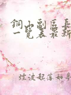 铜山副区长名单一览表最新