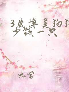 3岁博美狗狗多少钱一只 3岁博美狗狗多少钱一只