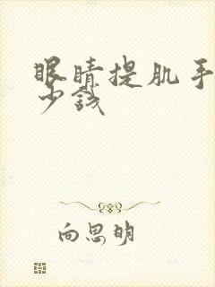 眼睛提肌手术多少钱
