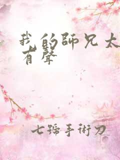 我的师兄太稳健有声