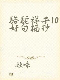 骆驼祥子10章好句摘抄