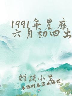 1991年农历六月初四出生人八字算命