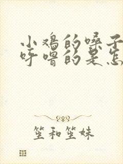 小鸡的嗓子呼噜呼噜的是怎么回事