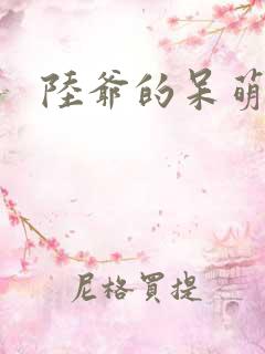 陆爷的呆萌甜妻