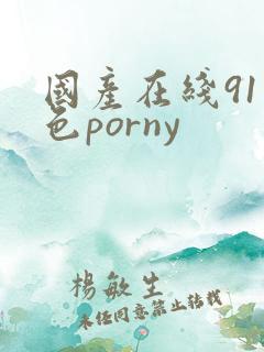 国产在线91九色porny