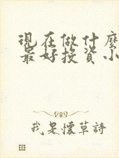 现在做什么生意最好投资小赚钱多