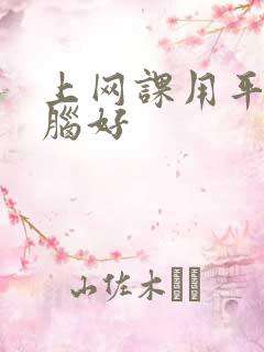 上网课用平板电脑好