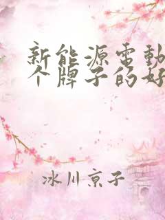 新能源电动车哪个牌子的好