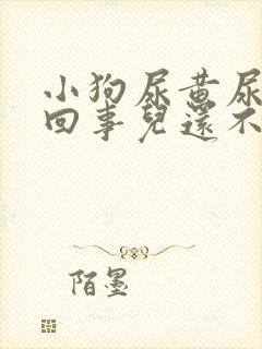 小狗尿黄尿怎么回事儿还不吃东西