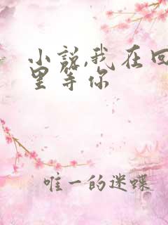 小说,我在回忆里等你
